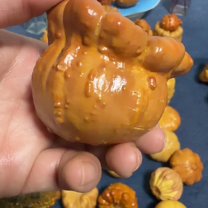 *****墨西哥七彩疙瘩葫芦瑕疵不退货