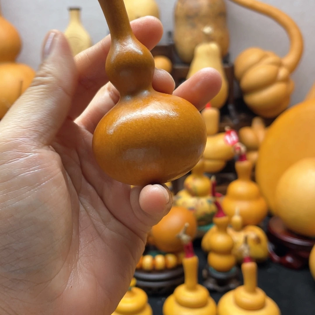 W***大自然的秘密第十节第一