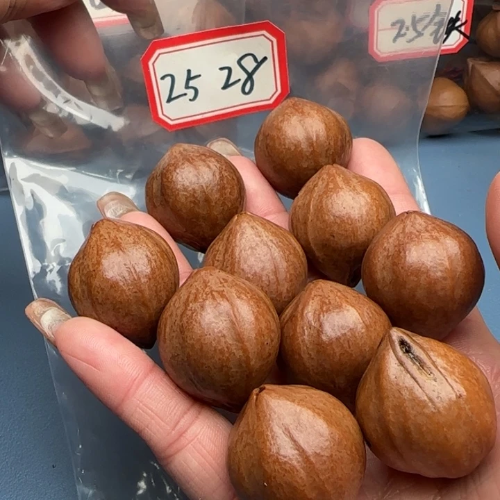 （***）橄榄核手串橄榄核
