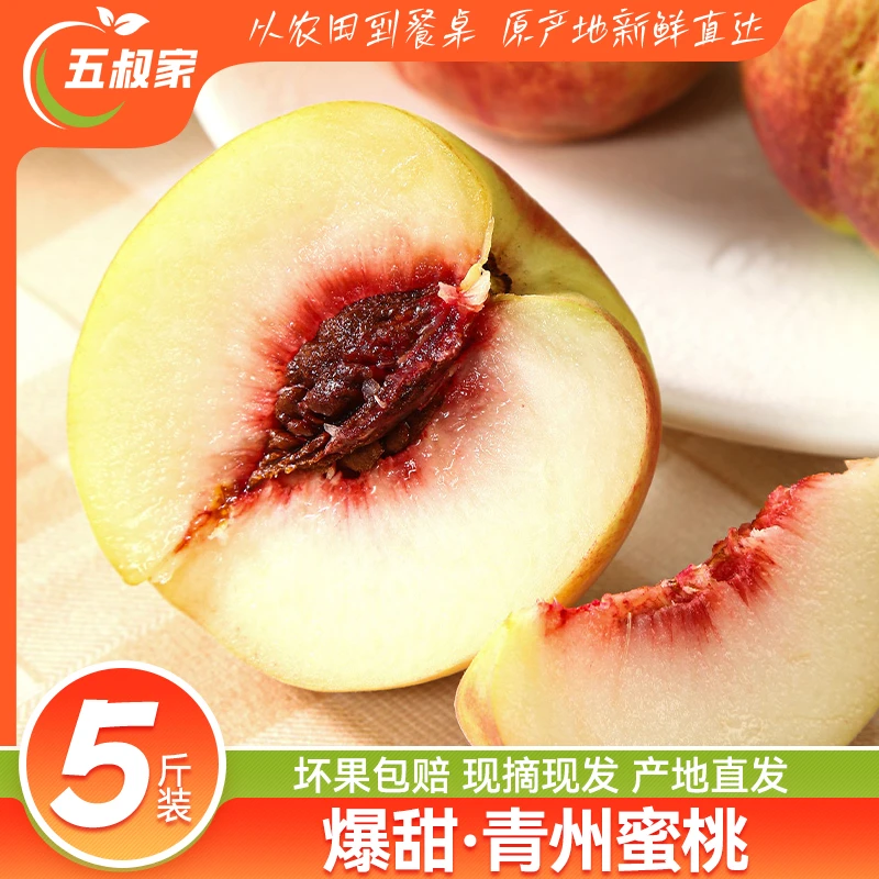 正宗山东青州蜜桃桃子新鲜脆桃脆甜多汁硬桃毛桃非水蜜桃现摘整箱