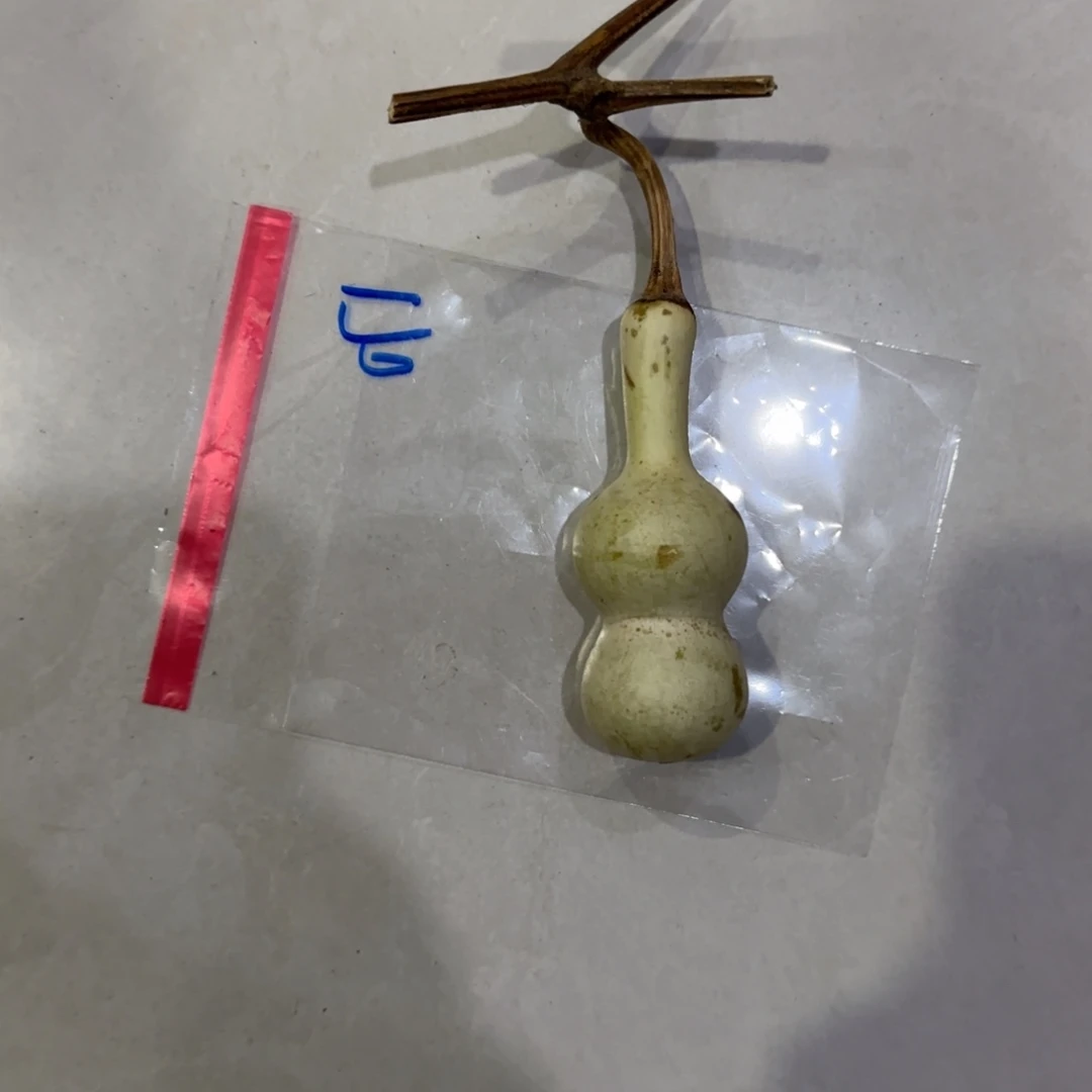 峰***青皮不包成，，，，，，，，，，，，