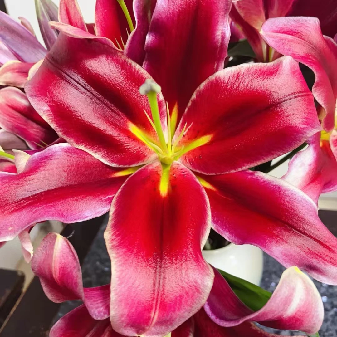 【源头优选】永恒的爱百合 任意两单鲜花升级快递发货后不支持退款