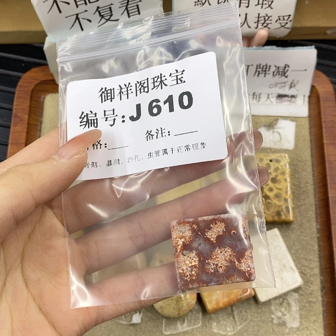 硅化珊瑚（珊瑚玉）未镶嵌颈饰建****埔