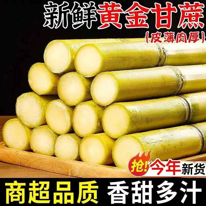 正宗云南黄金甘蔗现砍现发脆甜多汁当季新鲜水果17