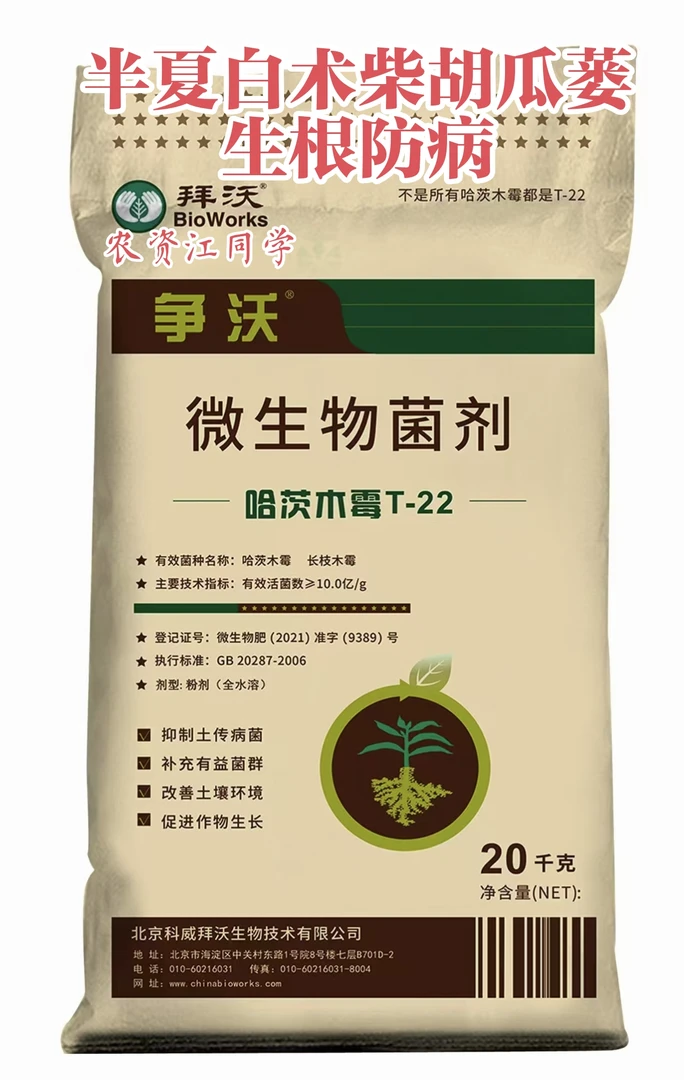 哈茨木霉菌防治根腐茎基腐立枯补充有益菌生根防病