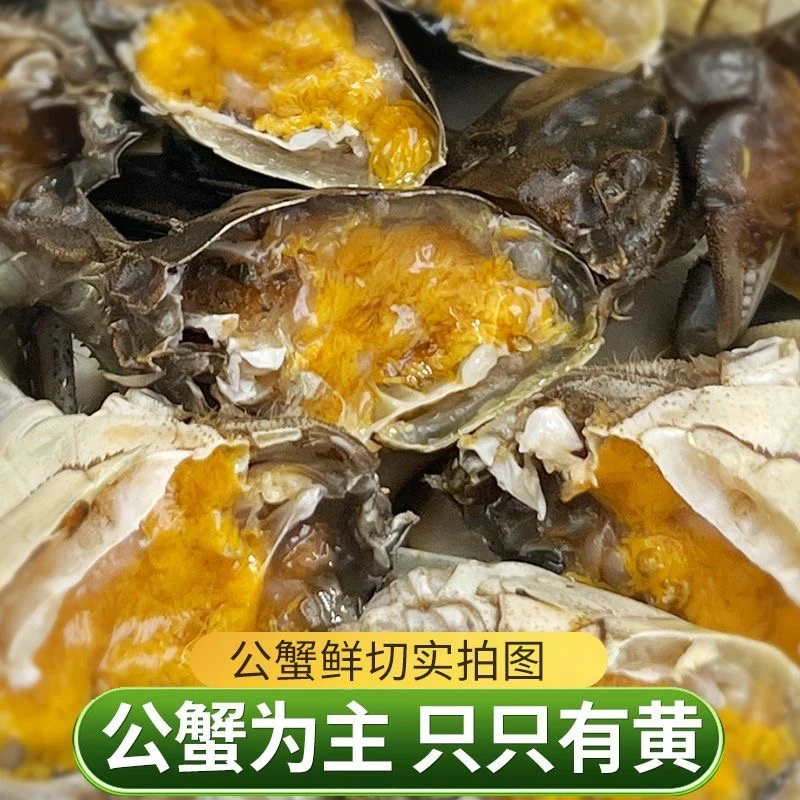 2.2-2.6两带黄公蟹辽宁顺丰包邮海鲜