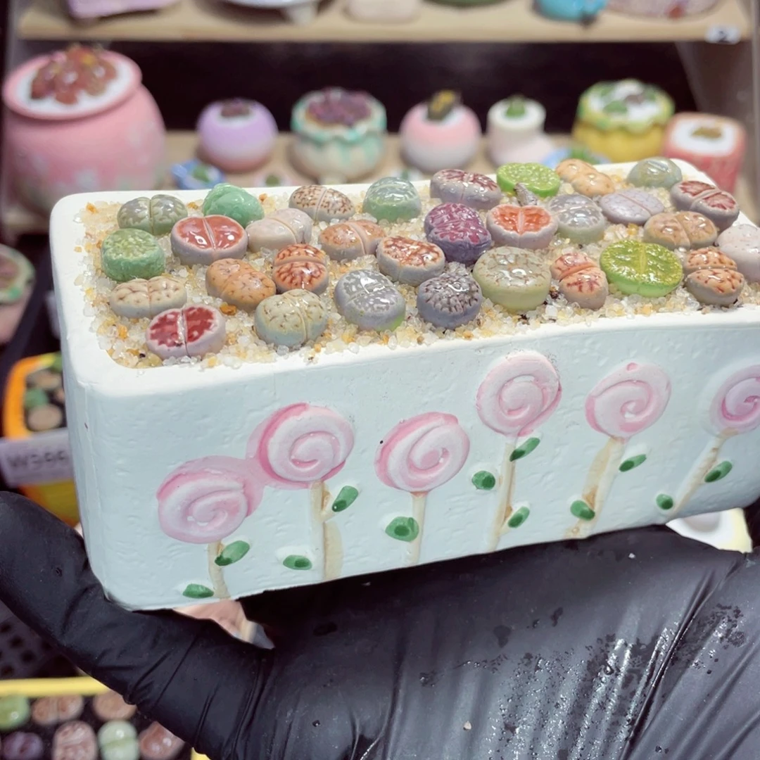 夜间零下地区拍保温箱w5679