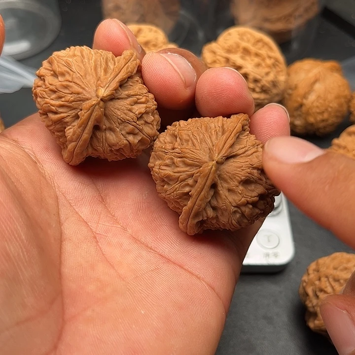 文玩核桃把件白狮