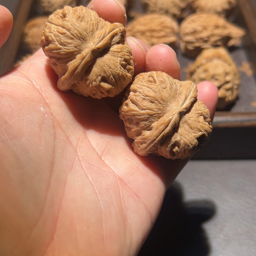 核桃40全品元宝哈哈哈