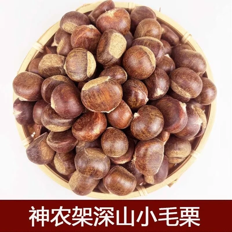 神农架2025新鲜高山正宗小毛栗子生吃清脆甘甜煮熟香糯3斤/5斤装