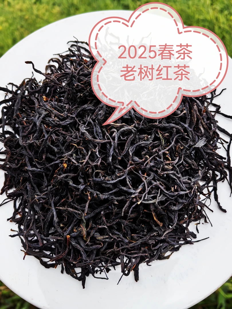 2025年明前春茶老树红茶500克（一斤2袋装）回甘好耐泡花果香馥郁
