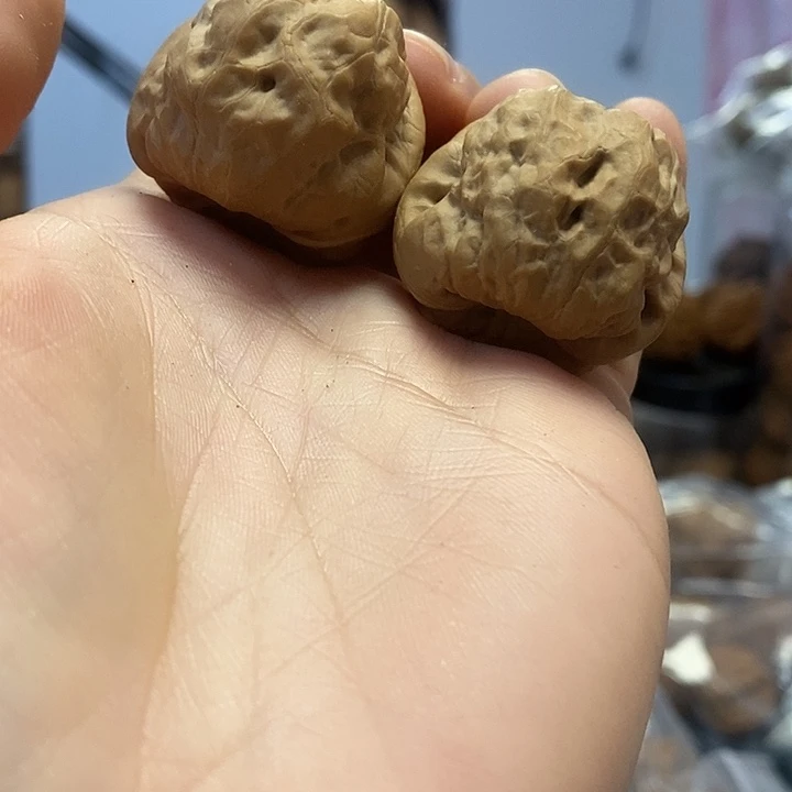 把件文玩核桃35古蝉