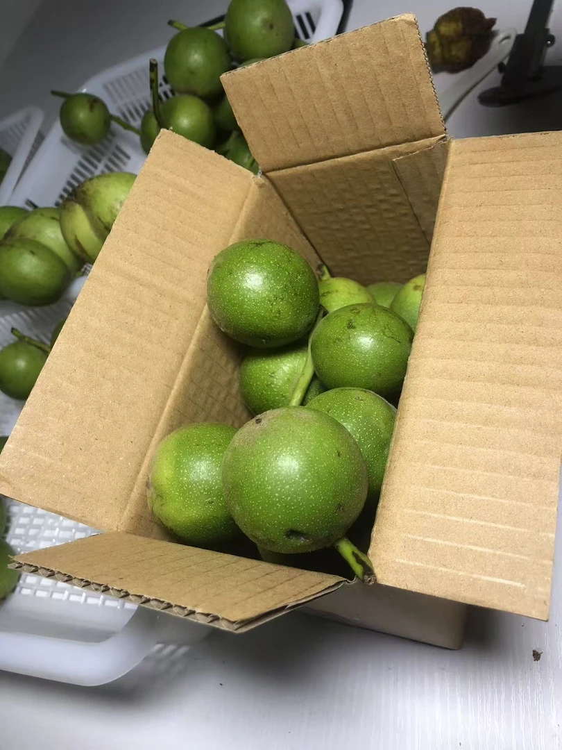 盘山新摘青皮一箱65个代开（开后不退不换）