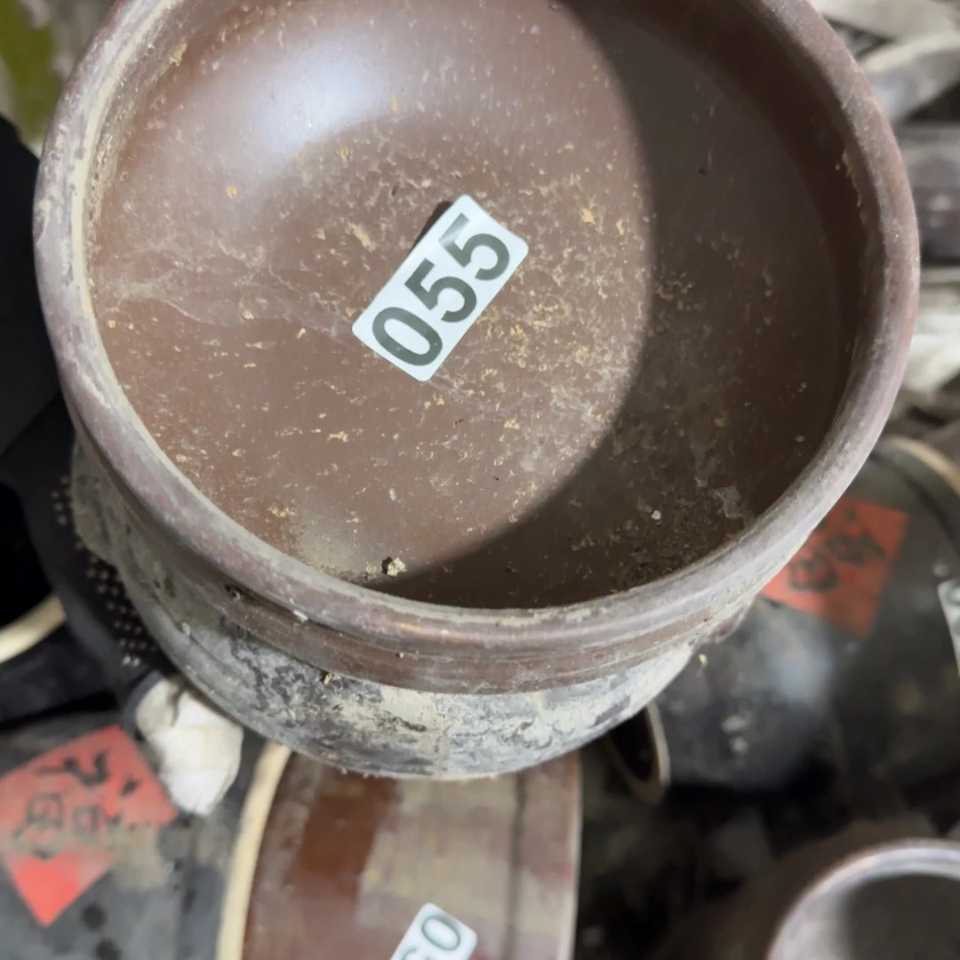 森***杨茶盏在哪吃完晚饭没有我