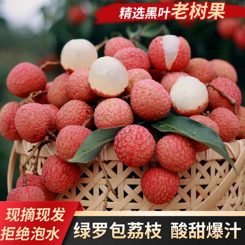 特惠【产地冷链直发】黑叶荔枝新鲜现摘冷链甜蜜果肉厚实水果应季