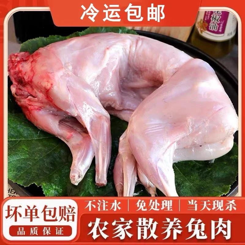 【拍一发五】新鲜农家散养兔现杀整只兔子四只腿
