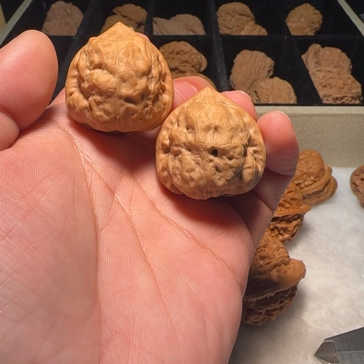 把件文玩核桃古蝉