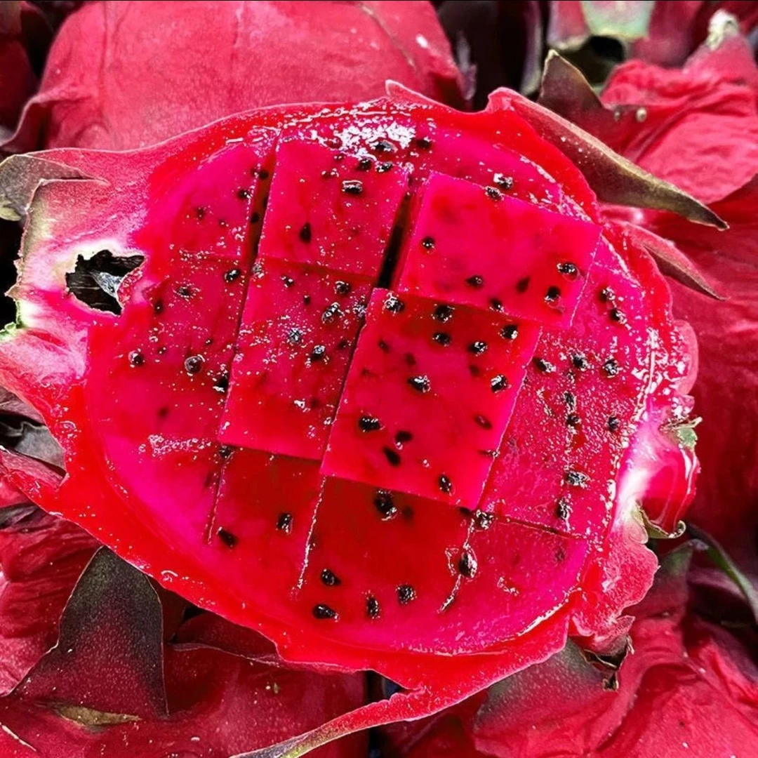 【味享时刻】广西红心金都一号火龙果整箱装新鲜现摘产地直FF