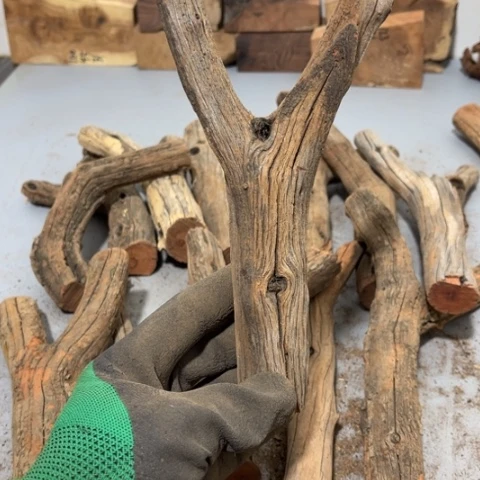 大果紫檀（缅甸花梨）呼***谎