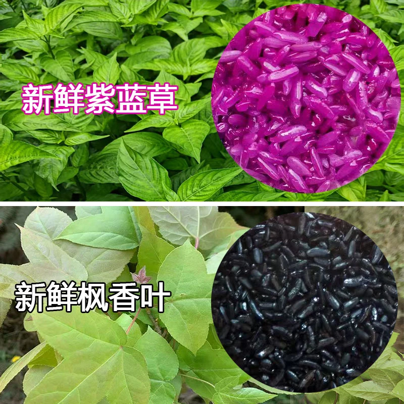 壮族三月三糯米饭颜色花植物染料五彩糯米饭染色花黄米饭花染料