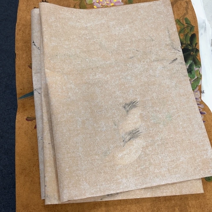 国画纯手绘作品欣赏图