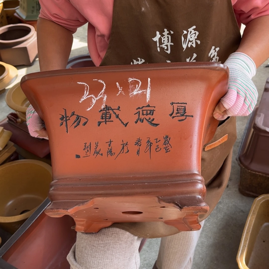 花盆紫砂盆景艺术