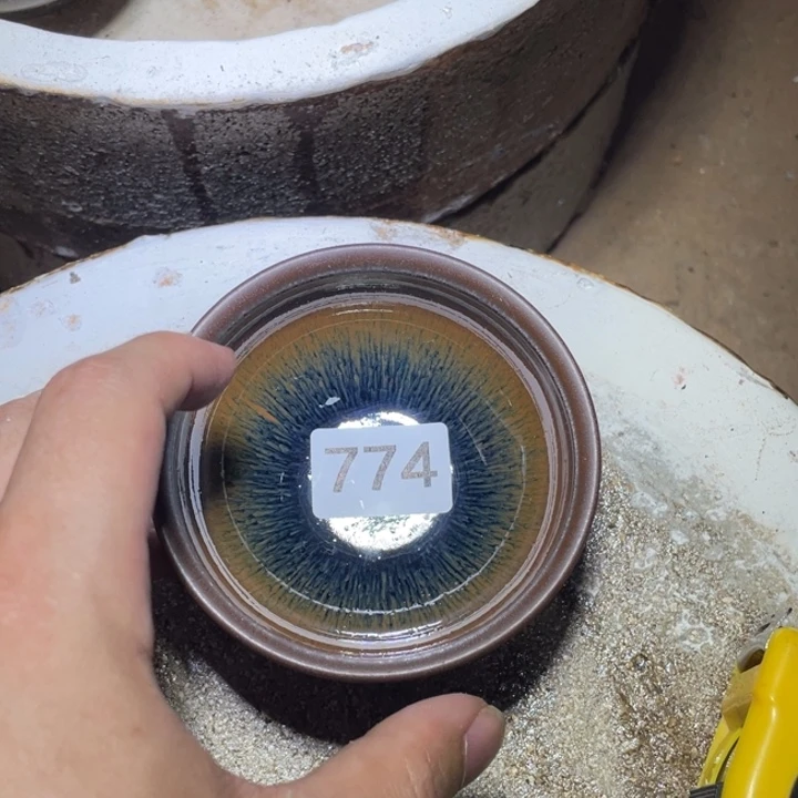 提出建议在这里举行新闻