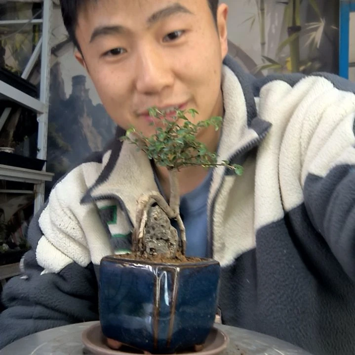 中青园艺一物一拍花274