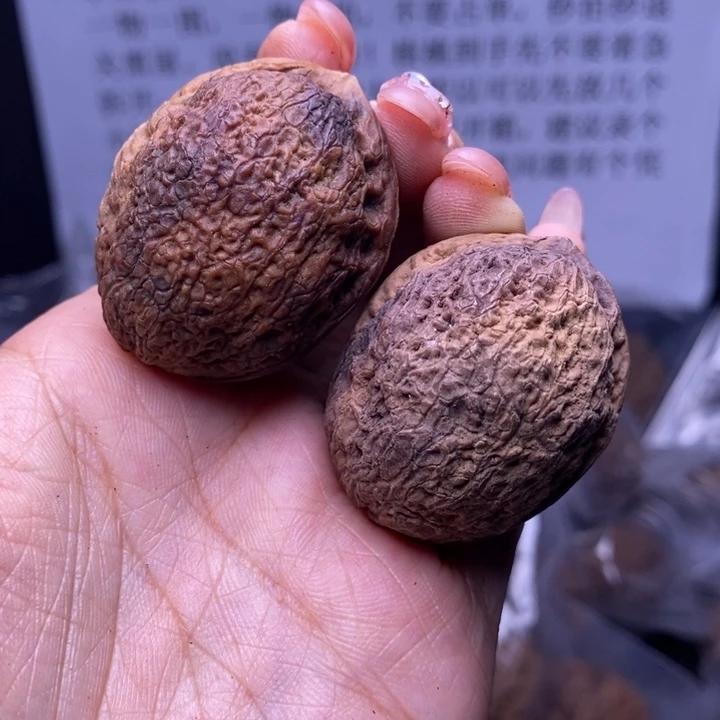 核桃云南野生铁核桃187号36mm