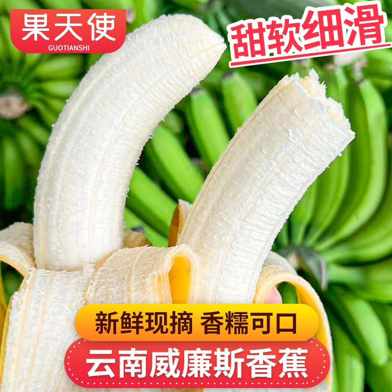 【果天使】云南威廉斯香蕉5-9斤新鲜采摘甜软细滑新鲜水果香蕉