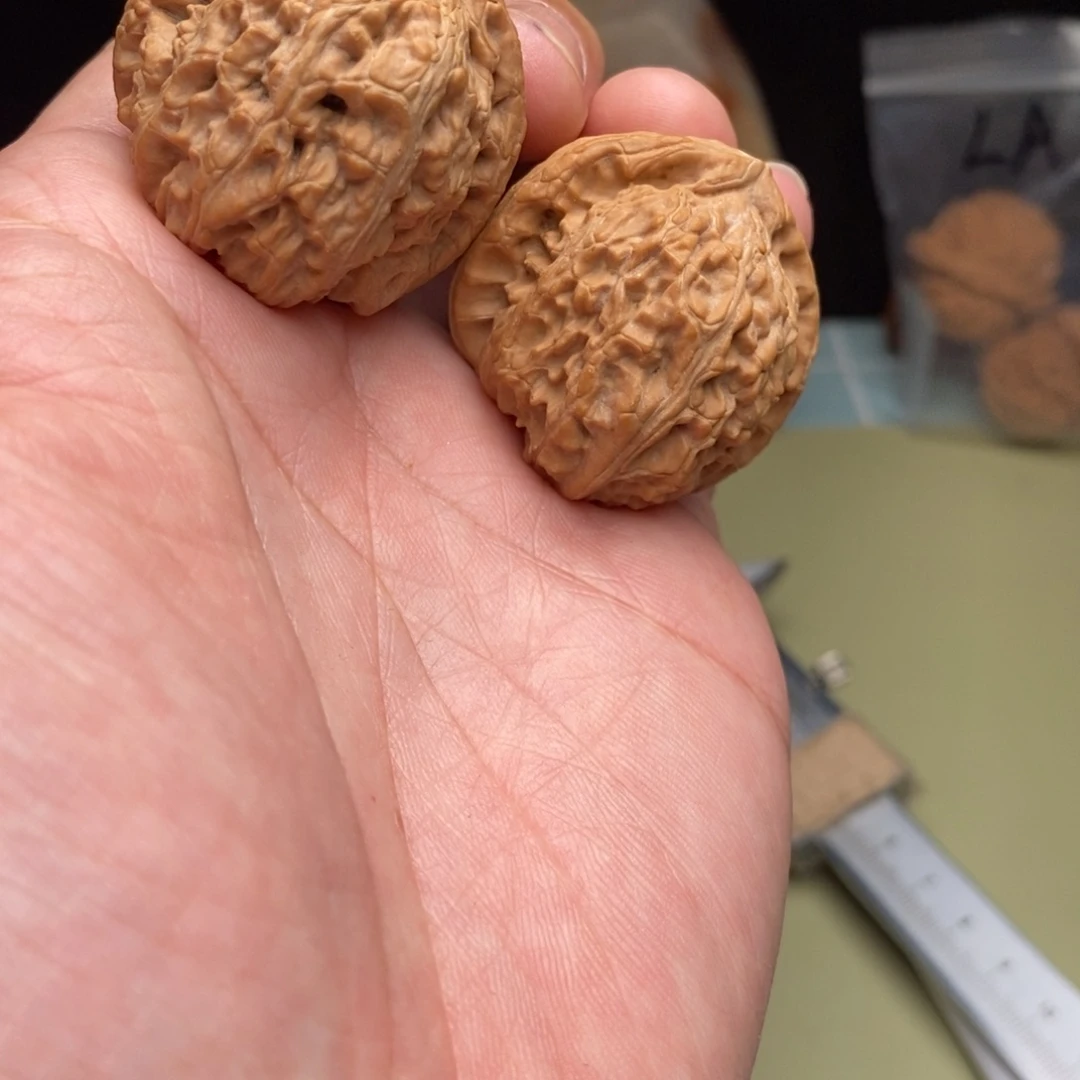 桃核吊坠37全品白狮子