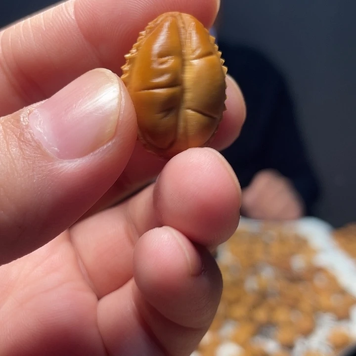 吊坠橄榄核橄榄核