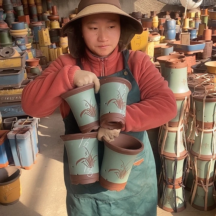 紫砂花盆盆栽花卉苗木种植