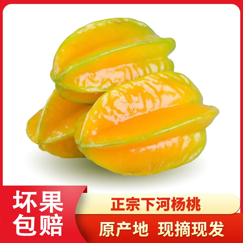 【顺丰/京东】树上自然熟甜杨桃现摘现发树上熟当季新鲜水果五角星