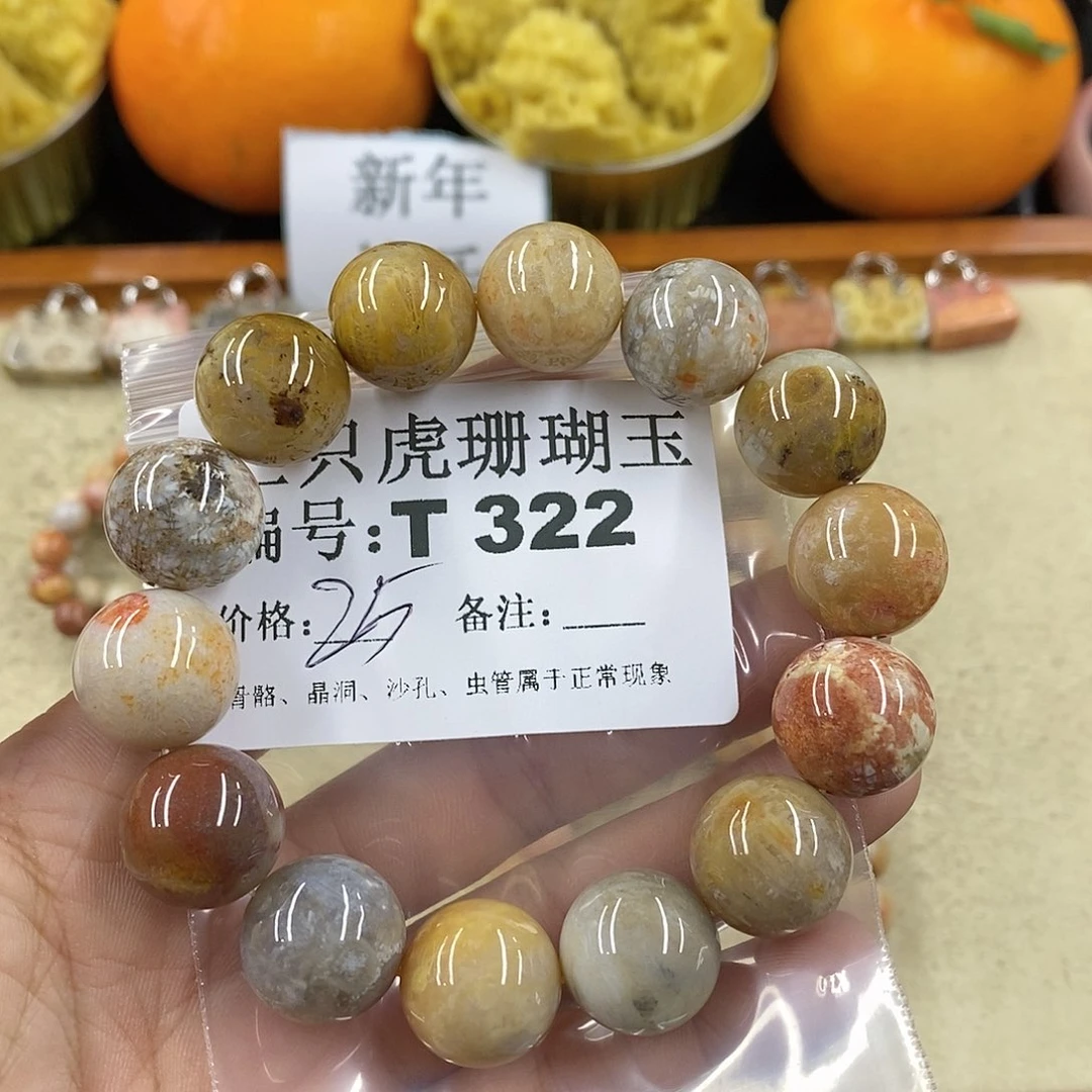 硅化珊瑚（珊瑚玉）1未镶嵌?***?