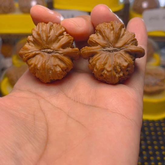 天***平文玩核桃吊坠白狮