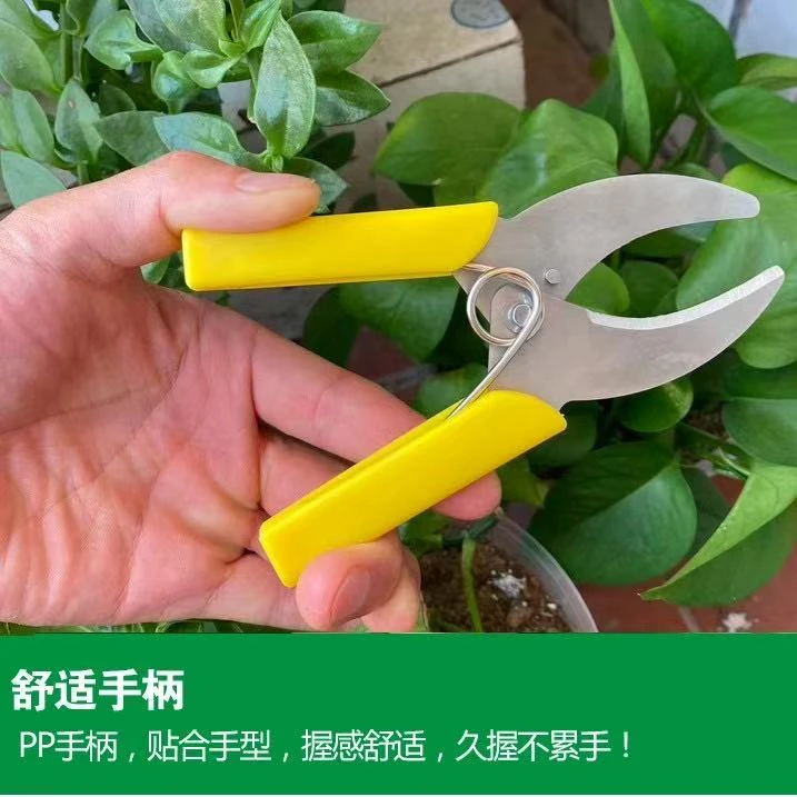 环剥剪果树花卉环剥树皮轻松
