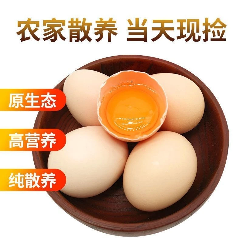 正宗绿壳土鸡蛋新鲜发货农家山林生态散养五黑鸡产