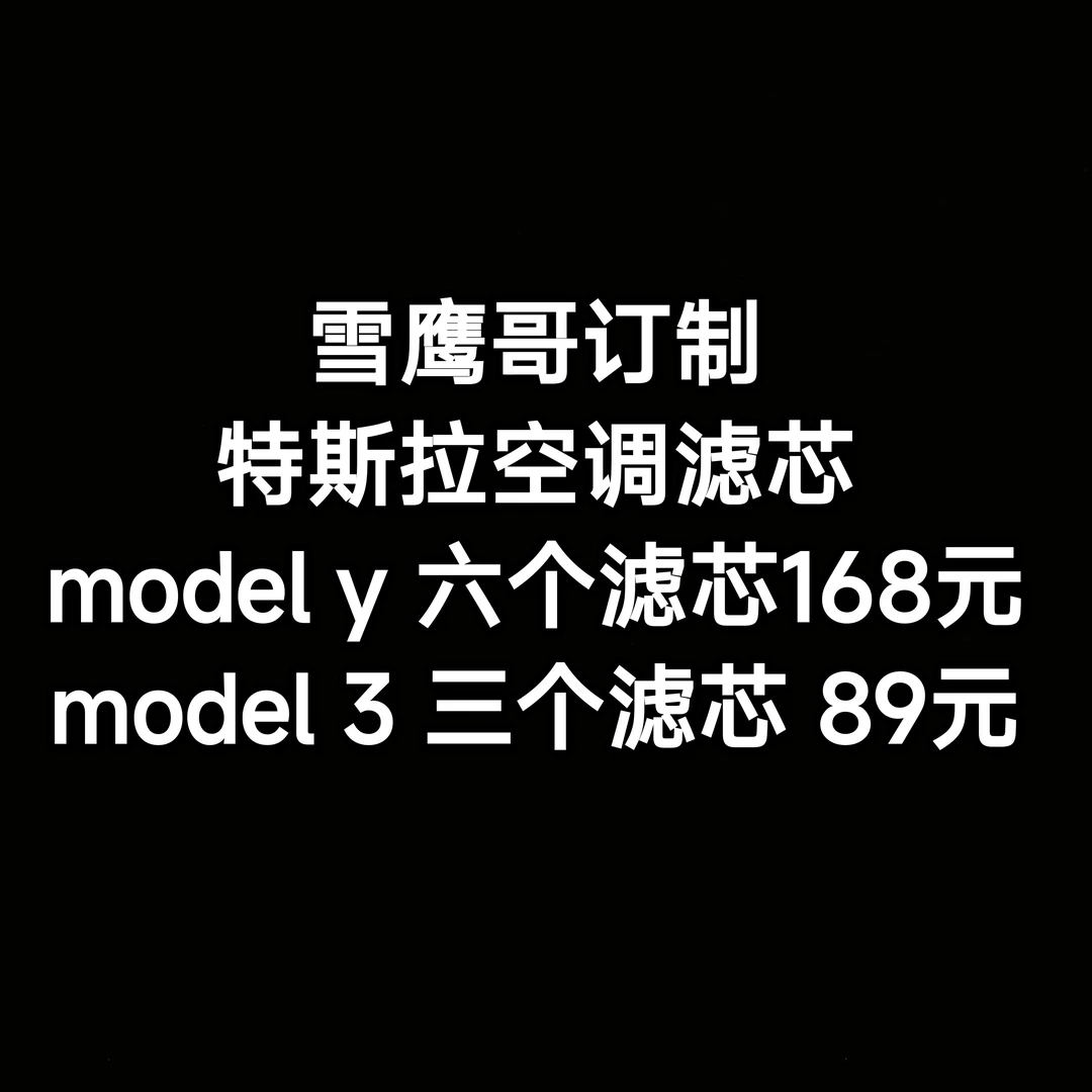 雪鹰哥，特斯拉model 3 model y空调滤芯一套，别人卖300多我卖168