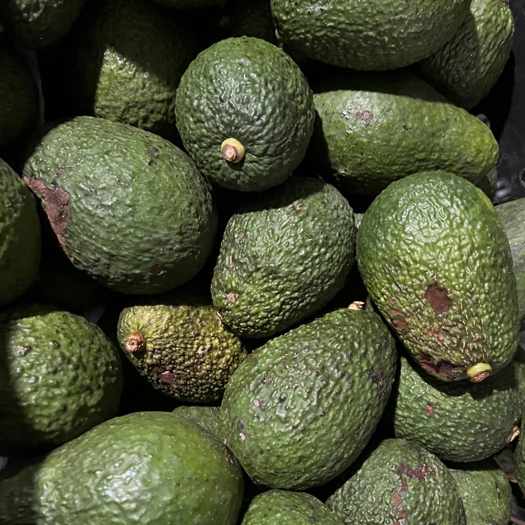 偏冷地区（福利花果）现挑150-350混装牛油果新鲜当季适合