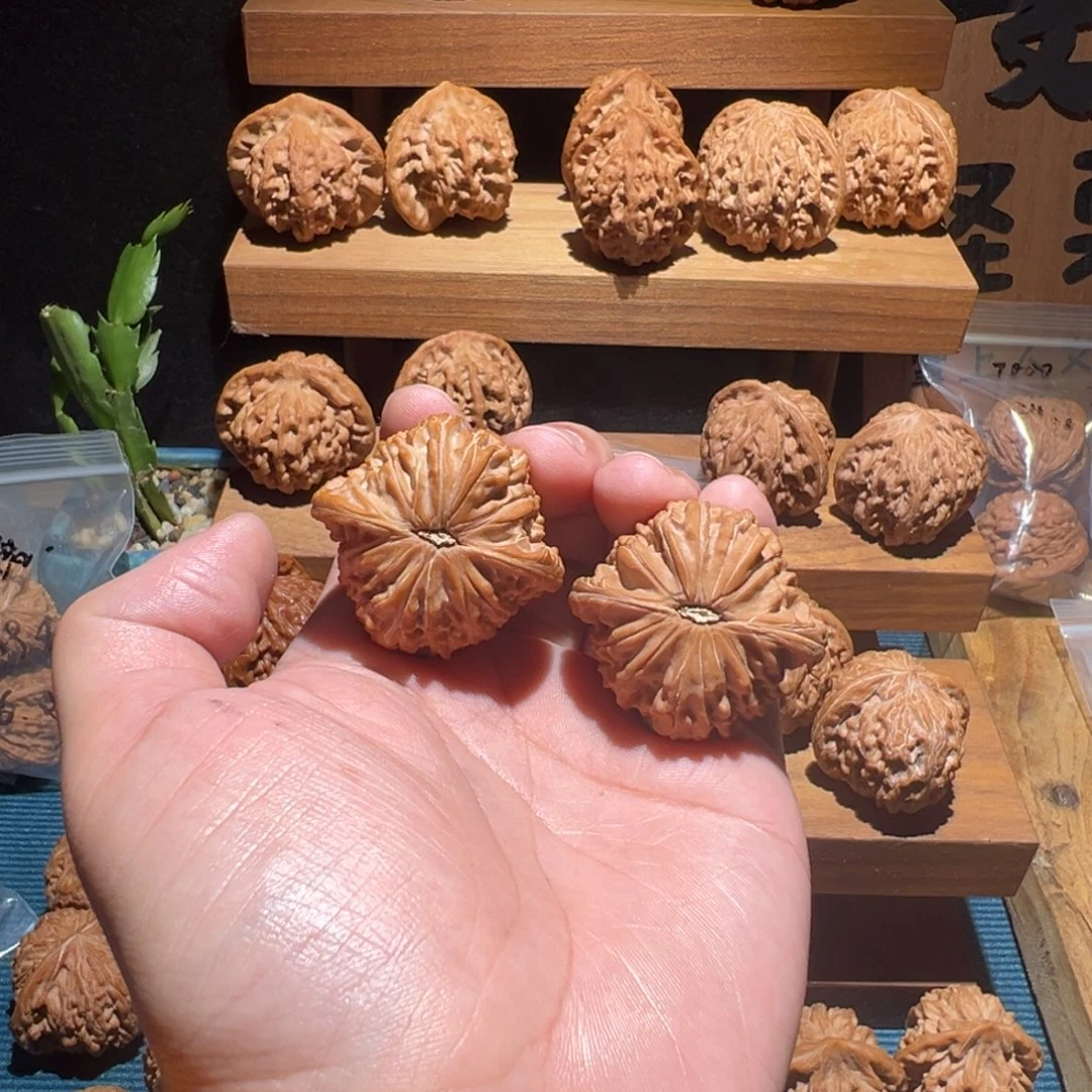 C***y核桃全品 41 橘皮 山地磨