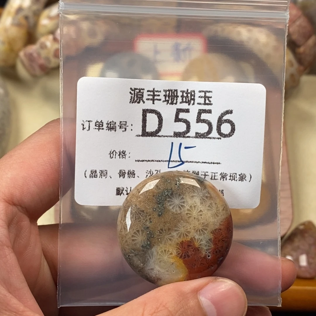 煒***w硅化玉未镶嵌颈饰