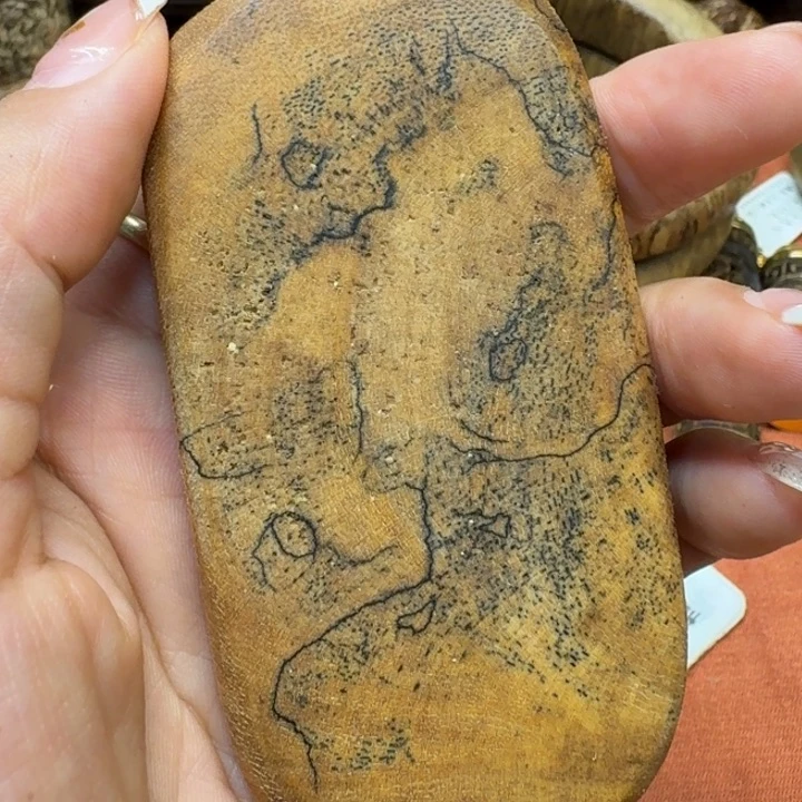 大叶紫檀（黑酸枝木类）