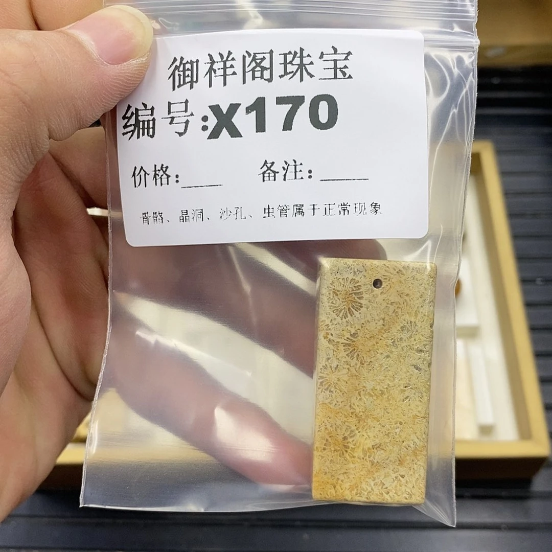硅化珊瑚（珊瑚玉）未镶嵌颈饰抱**贝