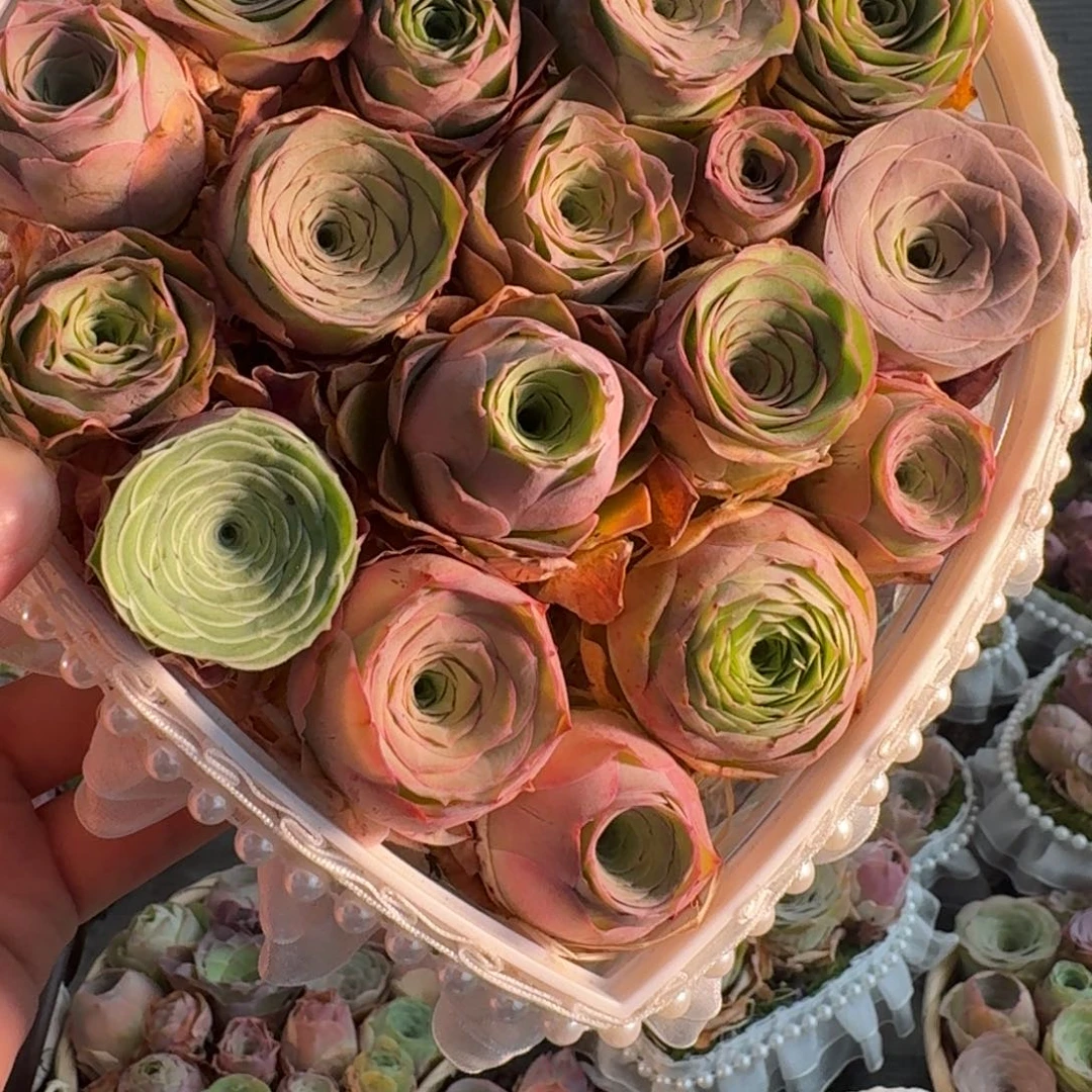 A628 亚克力花盒玫瑰组合