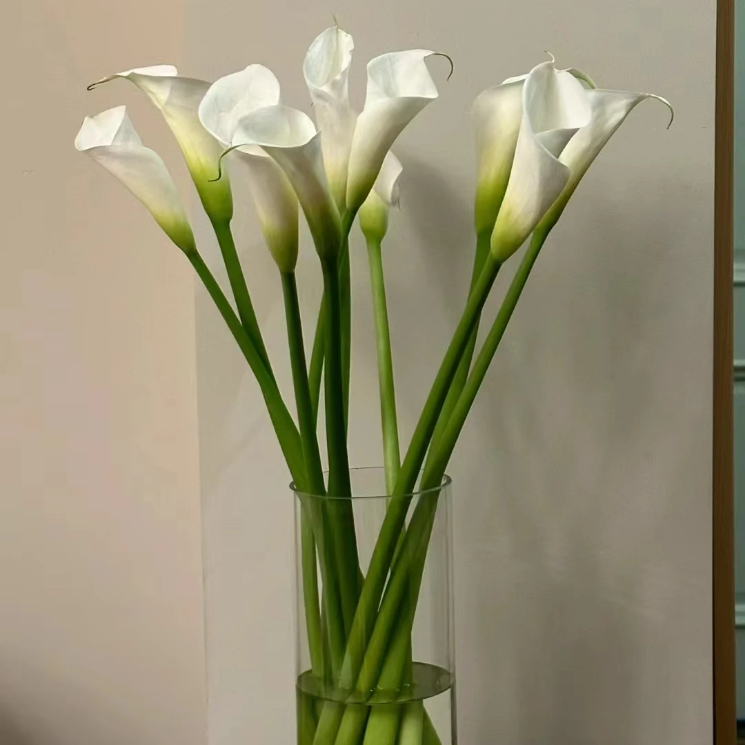 马蹄莲  和鲜花一起凑单哦  云南直发