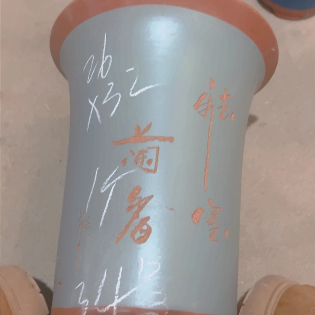 紫砂34……………………………………