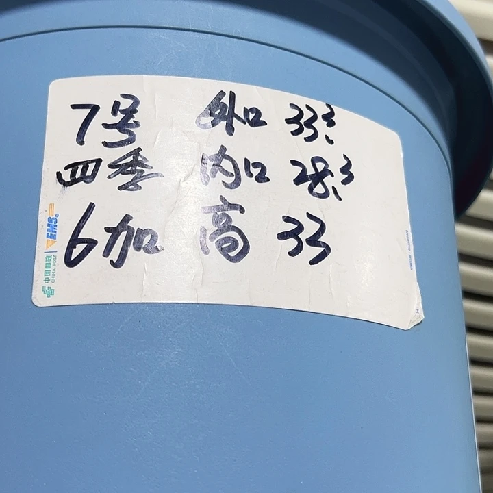 特价7号四季口33高33雾霾蓝无托6只