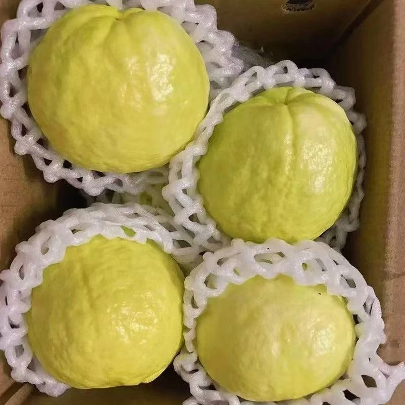 【软糯香】广西奶油白心芭乐番石榴软糯香甜皮薄多汁新鲜水果