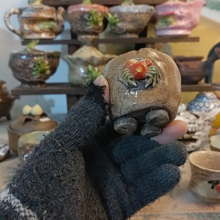 杯主人杯特价福利一个